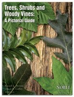 Full Download Trees, Shrubs and Woody Vines: A Pictorial Guide - Russell L. Stevens & Chuck R. Coffey | PDF