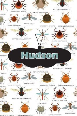 Read Hudson: Bug Insect Draw and Write Journal Notebook 120 Pages 6x9 -  file in PDF